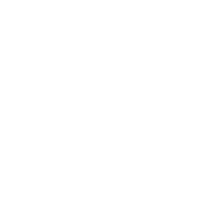 3.0